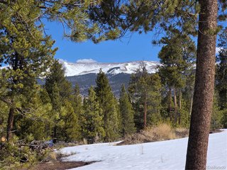 378 Ponderosa Dr Twin Lakes, CO 81251