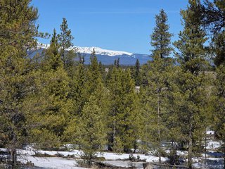 379 Lodgepole Dr Twin Lakes, CO 81251