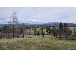 449 Duckworth Dr Fort Garland, CO 81133