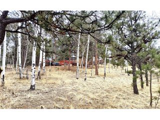103 Adair Cir Florissant, CO 80816