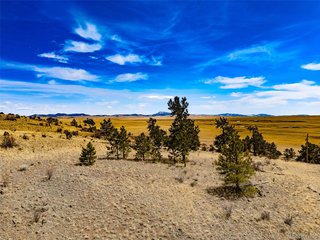 102 Pack Saddle Ct Hartsel, CO 80449