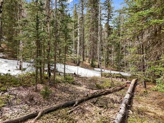 464 E Bison Creek Trl Florissant, CO 80816