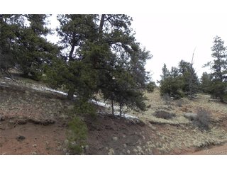 153 Idlewild Dr Cripple Creek, CO 80813