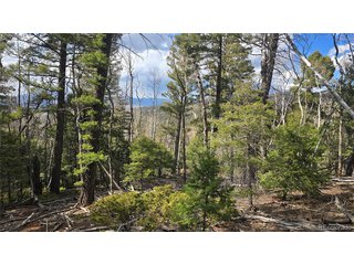 5261 Scott Rd Fort Garland, CO 81133