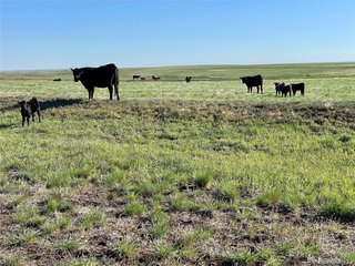 (TBD) County Road 125 Deer Trail, CO 80105