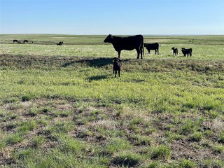9 County Road 166 Deer Trail, CO 80105