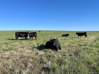 (TBD) County Road 125 Deer Trail, CO 80105