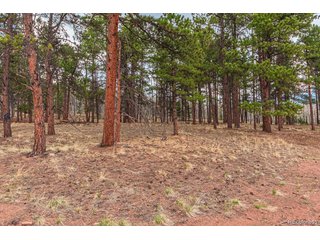1290 Firestone Dr Woodland Park, CO 80863