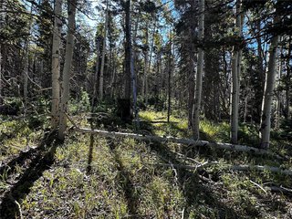 2652 Petito Dr Fort Garland, CO 81133