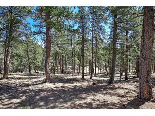 860 Spring Valley Dr Divide, CO 80814