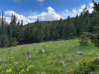 (TBD) Hilltop Rd Idaho Springs, CO 80452