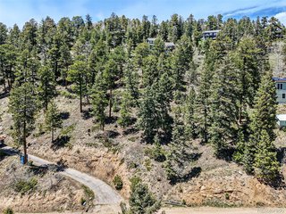 11618 Nichols Way Conifer, CO 80433