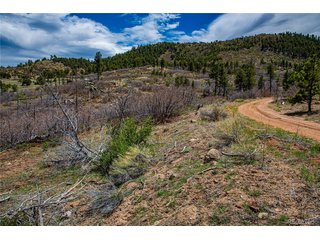 221 Cottonwood Dr Cotopaxi, CO 81223