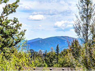 258 Old Squaw Rd Como, CO 80432