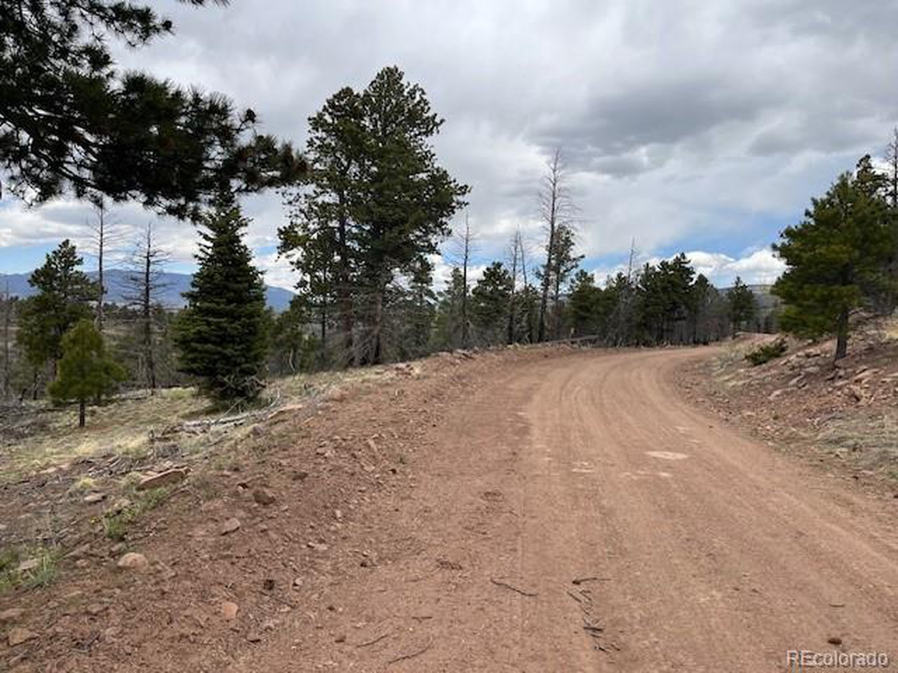 Looking N along Leslie Loop