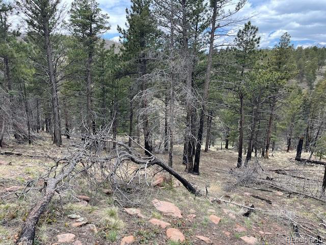Looking toward the back of the property