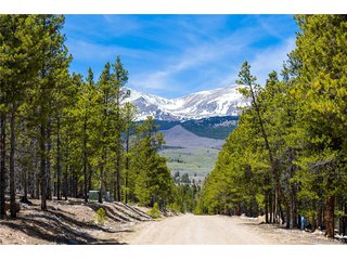 758 Spruce Dr Twin Lakes, CO 80461