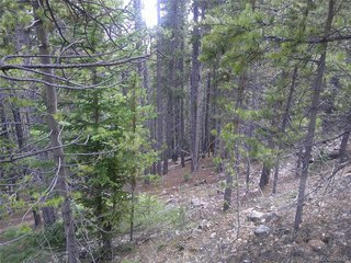 440 Hillside Rd Idaho Springs, CO 80452