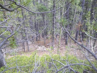 441 Hillside Rd Idaho Springs, CO 80452