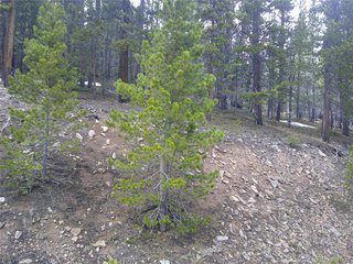 417 Glory Hole Rd Idaho Springs, CO 80452