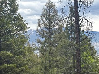 30304 Aspen Turn Buena Vista, CO 81211