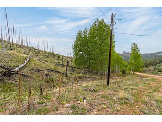 1 Columbine Cir Woodland Park, CO 80863