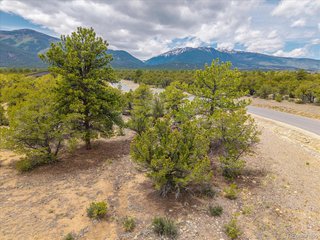 28924 Timber Ridge Buena Vista, CO 81211