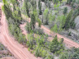 416 Willow Rd Divide, CO 80814