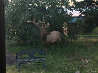 13854 N Trail Cir Littleton, CO 80127