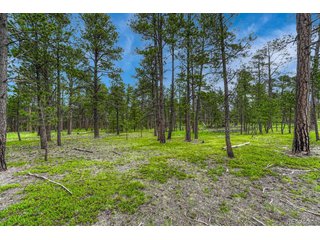 0 Wyandott Dr Colorado Springs, CO 80908