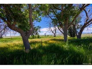 23655 E Garrett Rd Calhan, CO 80808