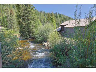 420 Quarzt Ln Pitkin, CO 81241
