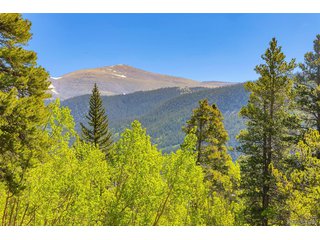 715 Lewsader Rd Alma, CO 80420