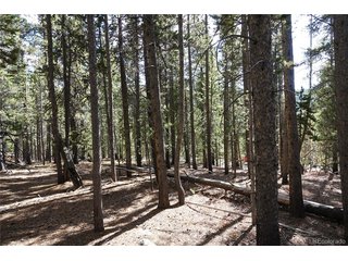 0 Loch Lomond Rd & Vista Rd Idaho Springs, CO 80452