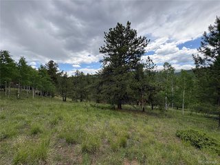 532 May Queen Dr Cripple Creek, CO 80813