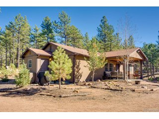 1110 Pikes Peak Dr Florissant, CO 80816