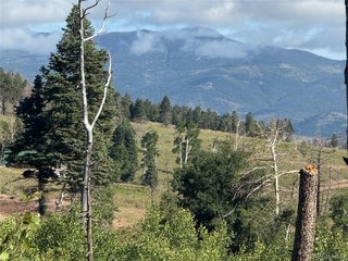 775 Forbes Park Rd Fort Garland, CO 81133