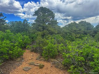 106 Colorado Land & Grazing Walsenburg, CO 81089