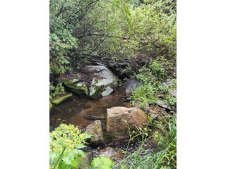 31429 Burke Rd Golden, CO 80403
