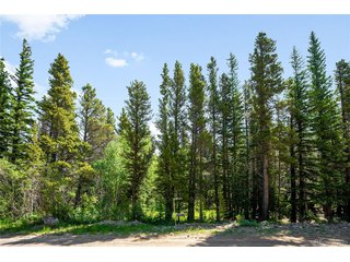 112 Deer Rd Idaho Springs, CO 80452