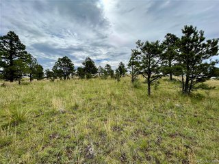 32011 Cattle Circle Ramah, CO 80832