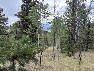 1928 Wells Fargo Cir Jefferson, CO 80456