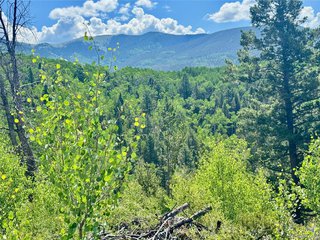 5850 Richardson Rd Fort Garland, CO 81152