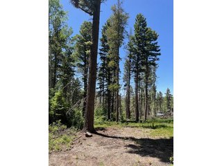 2449 Petito Dr Fort Garland, CO 81133