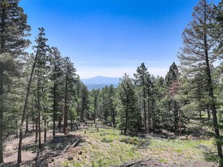 1002 Indian Creek Rd Florissant, CO 80816