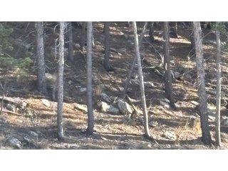 1 Miners Rd Black Hawk, CO 80422