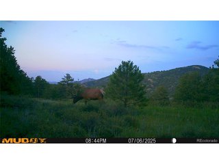 591599 Soul Shine Rd Drake, CO 80515