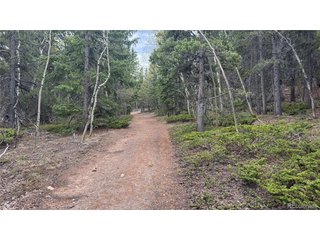 5 Roy Smith Rd Central City, CO 80427