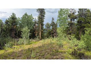 1 Church Placer Rd Central City, CO 80427