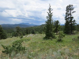 (TBD) Peak to Peak Hwy Nederland, CO 80466